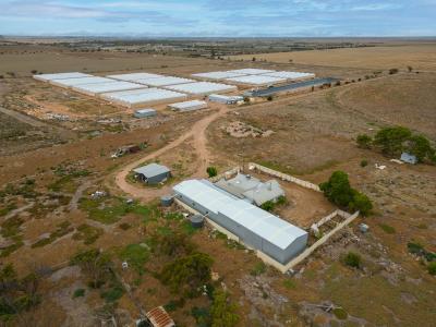 170 Port Parham Road, Windsor, SA 5501, Avustralya