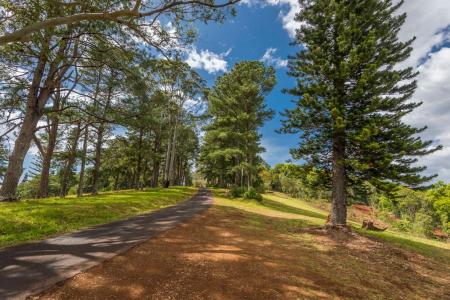 70 Pine Mountain Road, Possum Creek, NSW 2479, 澳洲