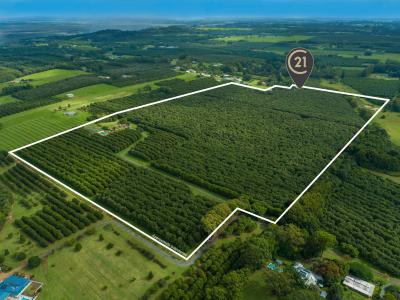 425 Wardell Road, Alstonville, NSW 2477, Australia