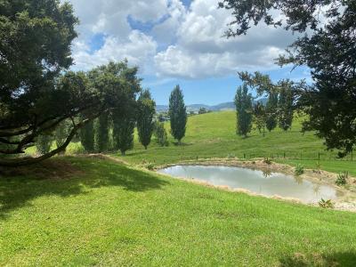 Lot 2/39 Gorge Road, Maungaturoto, Kaipara District 0588, Nuova Zelanda