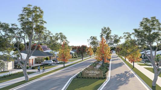 Lot 211 Edward Street, Forbes, NSW 2871, オーストラリア