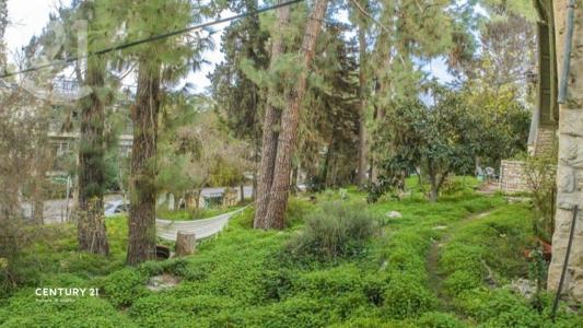 החלוץ, Jerozolima, Izrael