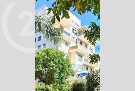 לנטוס, Netanya, Israele