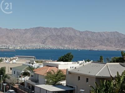 אבוקדו, Eilat, Israel