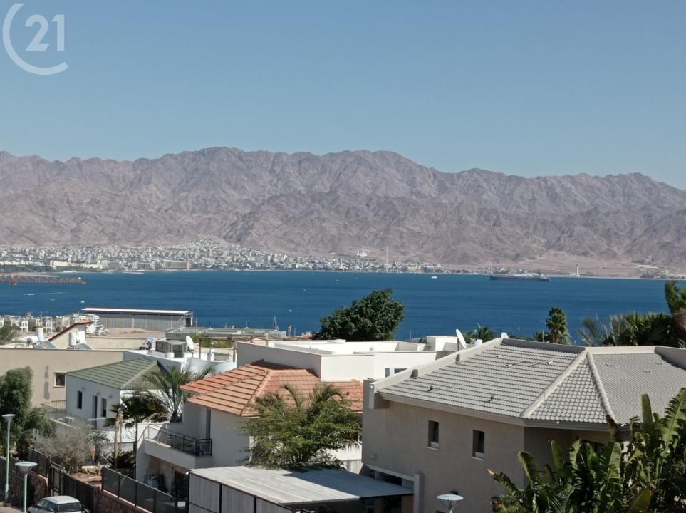 אבוקדו, Eilat, Israel