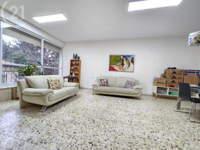 אלברט איינשטיין, ハイファ, イスラエル