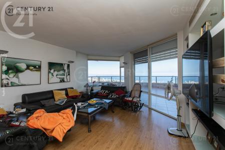 קשטן, Haifa, Israel