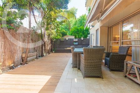 יחזקאל חרלפ, Haifa, Israel