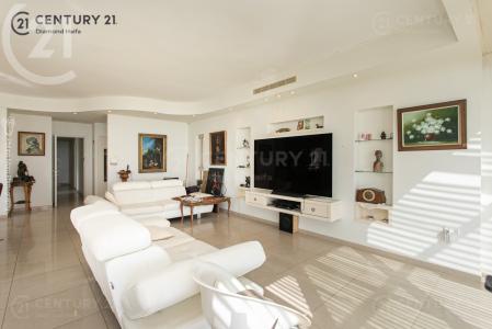 רות, Haifa, Israel