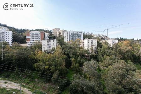 חביבה רייך, Haifa, Israel