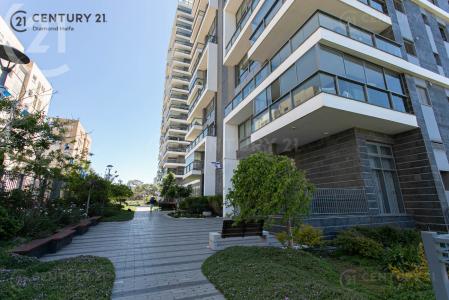 יהושע גלוברמן, Haifa, Israel