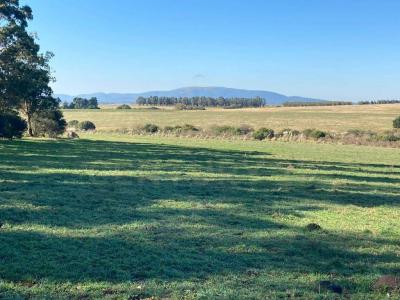 Santa Lucía Del Este, Canelones, Uruguay