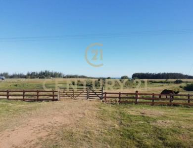 Ruta 10 km 208, 27200, Departamento de Rocha 27200, Rocha, Rocha 27200, Uruguay