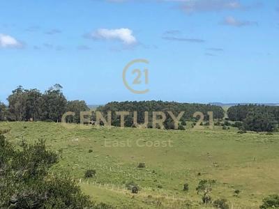 sn sn, Rocha, Rocha, Uruguay