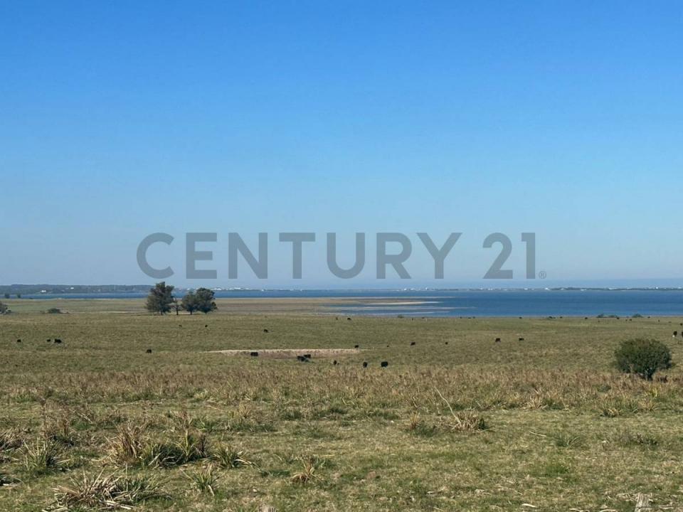 Cuarto camino vecinal 1, José Ignacio, Maldonado 20001, Uruguay