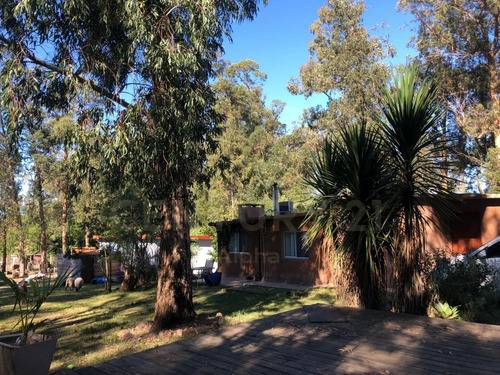 Punta Ballena, Maldonado 2000, Uruguai