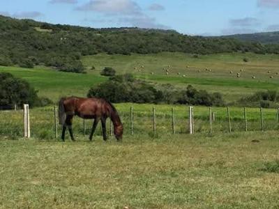 Aiguá, 말도나도, 우루과이