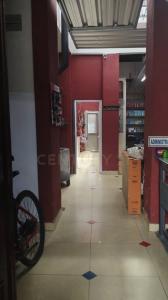 Tres Cruces, Montevideo, Uruguay