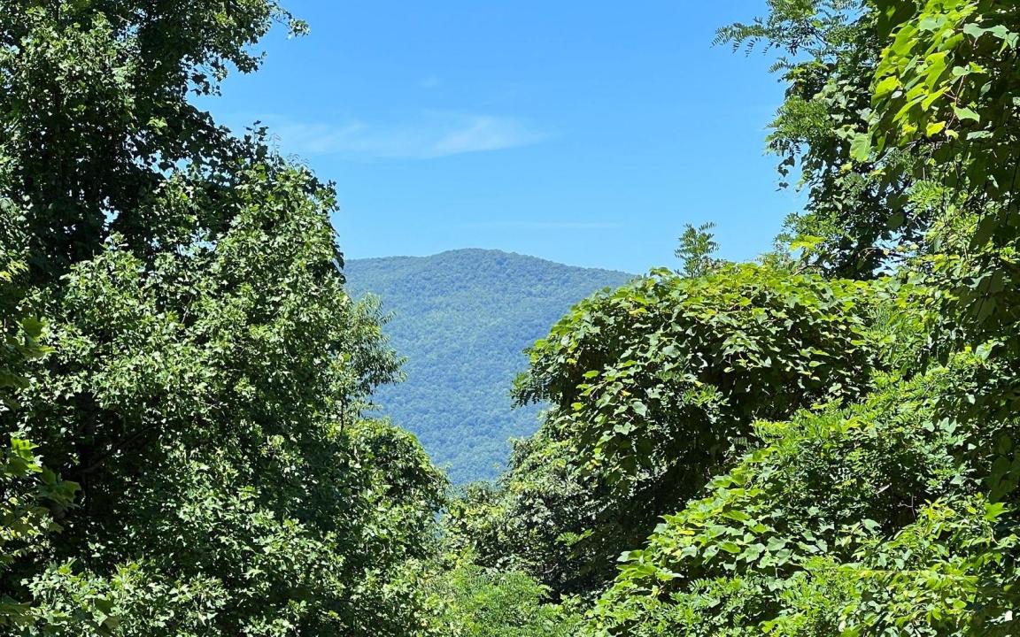 101ac Lori's Mountain, Hayesville, North Carolina 28904