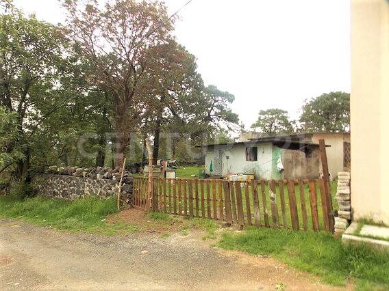 Héctor F. López Mena , Tlalpan, Ciudad De México 14760, Messico