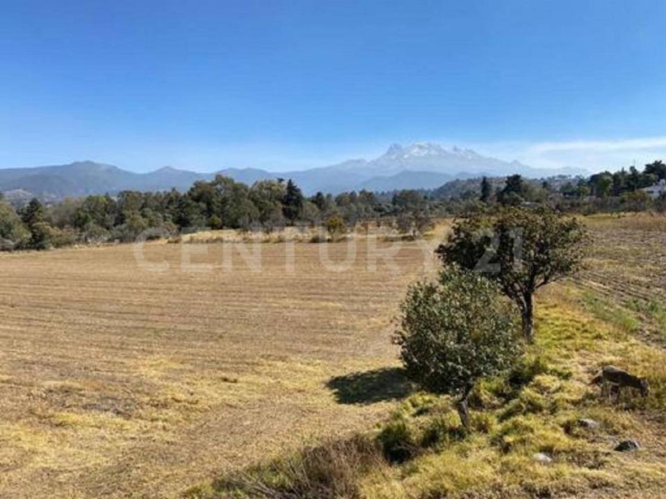 Zaragoza , Tlalmanalco, Estado De Mexico 56700, Mexico