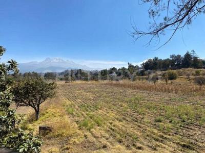 Zaragoza , Tlalmanalco, Estado De Mexico 56700, Mexico