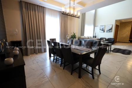 チワワ, チワワ 31216, メキシコ