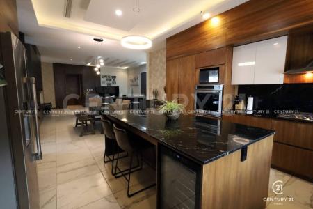 チワワ, チワワ 31216, メキシコ