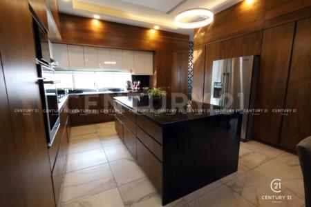 チワワ, チワワ 31216, メキシコ