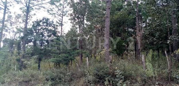 Carr. a 6 km. sobre camino Teopisca - Chijilte s/n, Teopisca, Chiapas 29410, Mexico