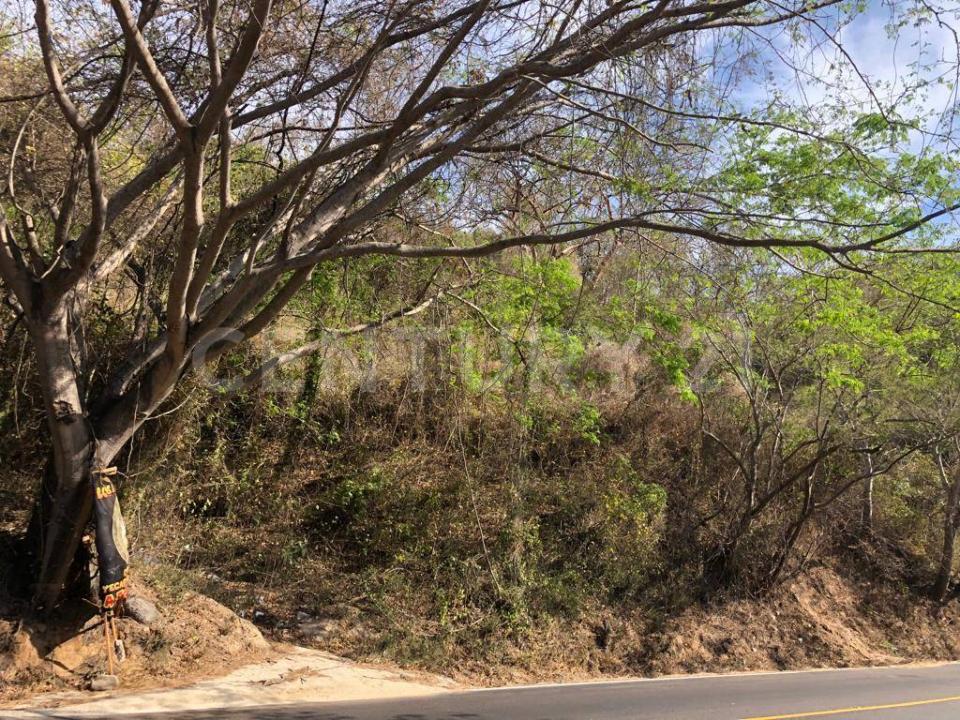 Carretera Federal 200 Km 26 Parcela 452 Z 3 P1/3, Bahía De Banderas, 纳亚里特 63734, 墨西哥