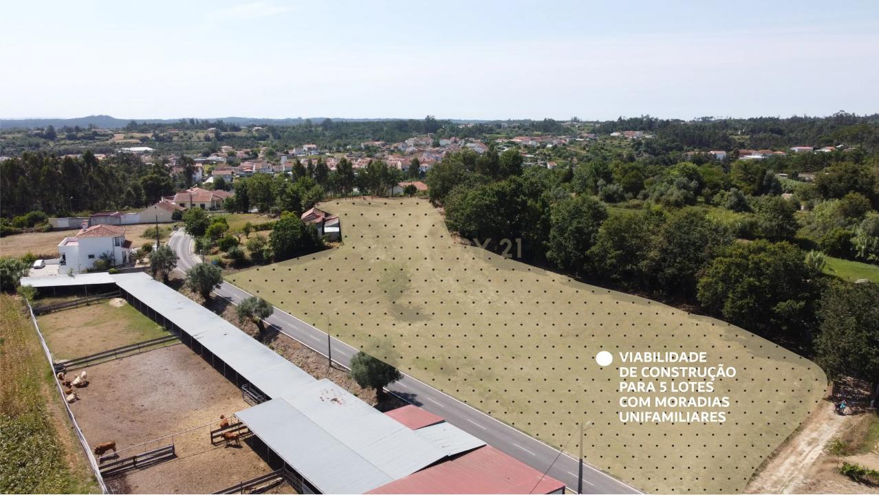 Coimbra, Coimbra 3025-505, Portugal