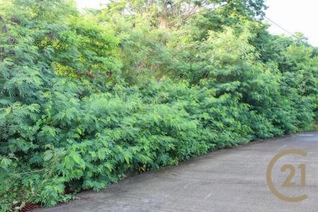 La Sagesse Ocean View, La Sagesse, St.david West Indies, Grenada
