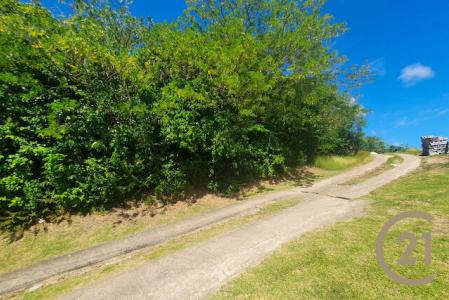 Frangipani Drive - Lot No. 1, True Blue, True Blue, St.george West Indies, غرينادا 