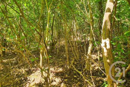 Frangipani Drive - Lot No. 1, True Blue, True Blue, St.george West Indies, غرينادا 