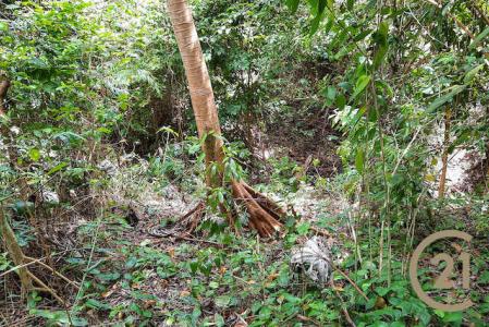 Villa Road Land Soubise, Soubise, St.andrew West Indies, Grenada