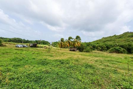 Hope Estate Lot Walking Distance To The Beach, Hope, St.andrew West Indies, Grenada