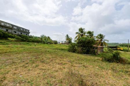 Hope Estate Lot Walking Distance To The Beach, Hope, St.andrew West Indies, 格林纳达