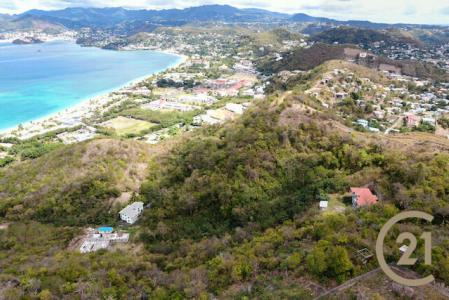Morne Rouge Ridge, Morne Rouge, St.george West Indies, Grenada