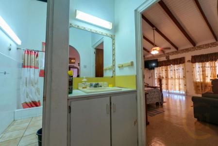 Hibiscus, Karland Park, Grand Anse, St.george West Indies, Grenada