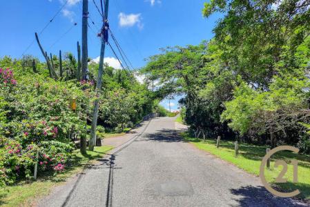 Lance Aux Epines Estate - Lot No 1, Lance Aux Epines, St.george West Indies, Гренада