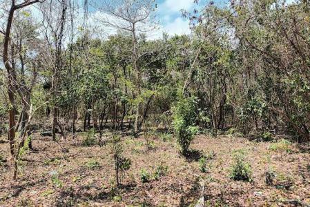 Karib Beach - Lot No. 22, New Westerhall Point, St.george West Indies, Grenada