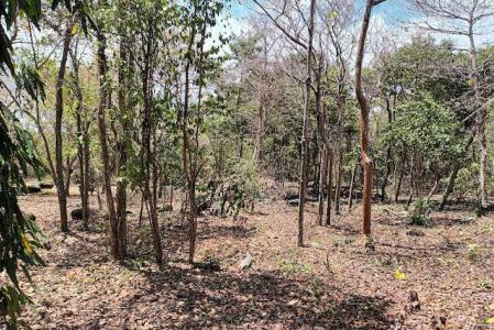 Karib Beach - Lot No. 22, New Westerhall Point, St.george West Indies, Grenada