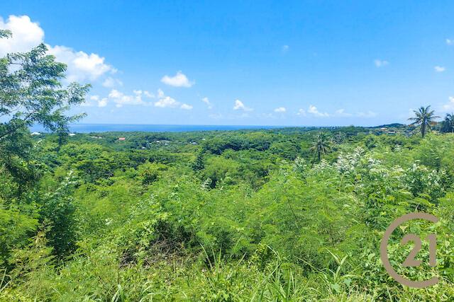 Requin Land, Requin Heights, Requin, St.david West Indies, Grenada