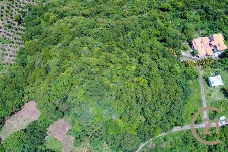 Requin Land, Requin Heights, Requin, St.david West Indies, Grenada