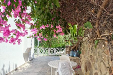 موغلا, تركيا