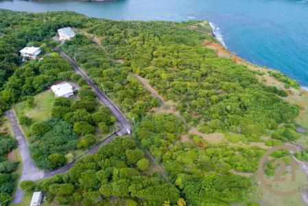 Harbour Point Requin Bay, Requin, Saint David's, St.david West Indies, 格林纳达