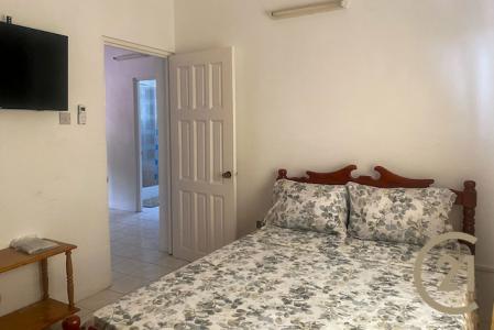 Pink Nest, Frequente, St.george West Indies, Grenada