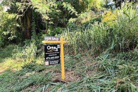 Grand Bacolet Estate Main Road Land, Grand Bacolet, St.andrew West Indies, Гренада