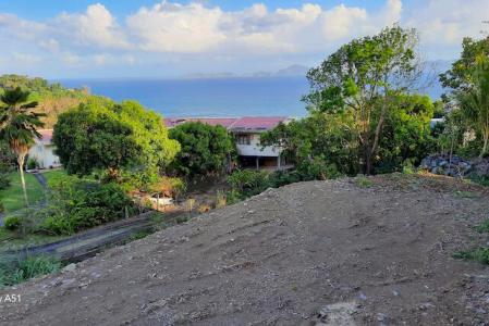 TROIS RIVIERES chemin de Roussel, Bourg-Chemin neuf, Trois-rivières, Guadeloupe
